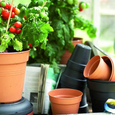 Green basics growpot er den perfekte potte til forspiring og at dyrke dine egen grøntsager i. Den kommer i mange forskellige størrelser og du kan tilkøbe underskål og Grow house - et minidrivhus til din growpot som giver dine spire de bedste vækstbetingelser.