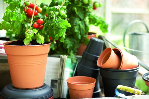Green basics growpot er den perfekte potte til forspiring og at dyrke dine egen grøntsager i. Den kommer i mange forskellige størrelser og du kan tilkøbe underskål og Grow house - et minidrivhus til din growpot som giver dine spire de bedste vækstbetingelser.