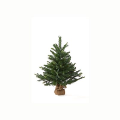 Istad mini juletræ 60 cm som minder et lille rødgran træ.